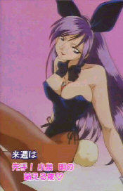 Damn, I love bunny-suits.